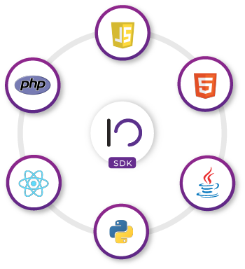 Checkout Transparente IOPAY